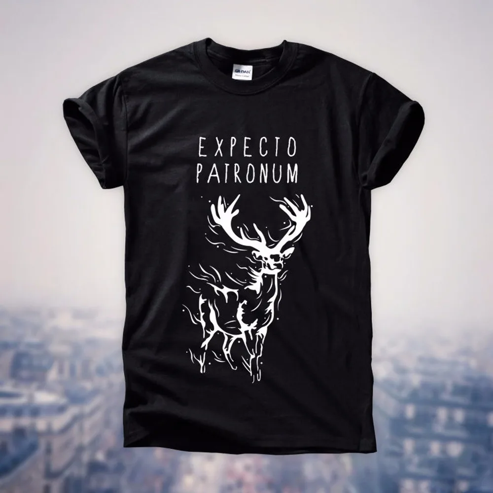 Мужская футболка с круглым вырезом Sunlight черная надписью hardito Patronum толстовка