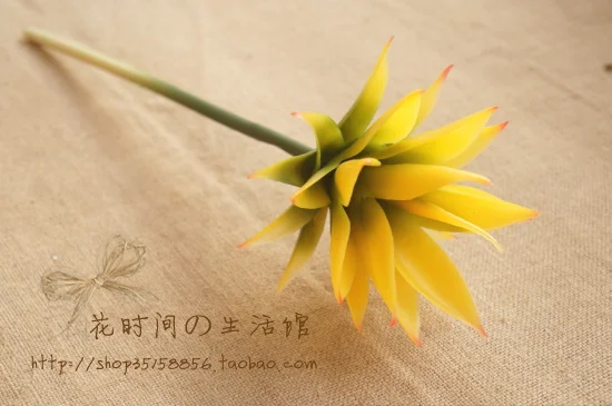 (4 шт./лот) Имитация тропического суккулента с высоким полюсом Агава одна ветка