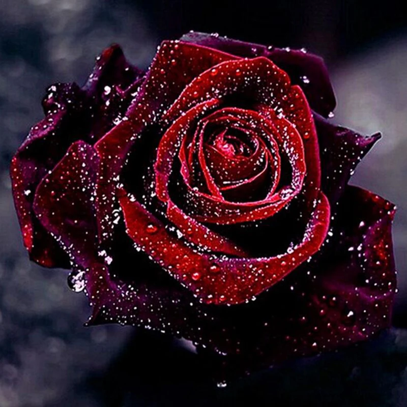 

5D diy Diamond Painting cross-stitch Full round Rhinestones Sets Bamboos Flower Orchid Diamond Embroidery Home Decoration s342