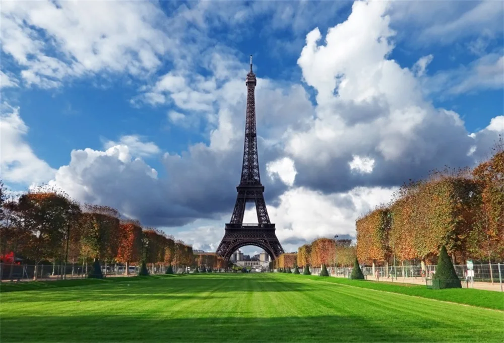 

Laeacco Eiffel Tower Paris Green Grass Cloudy Blue Sky Scenic Photography Backgrounds Photographic Backdrops For Photo Studio