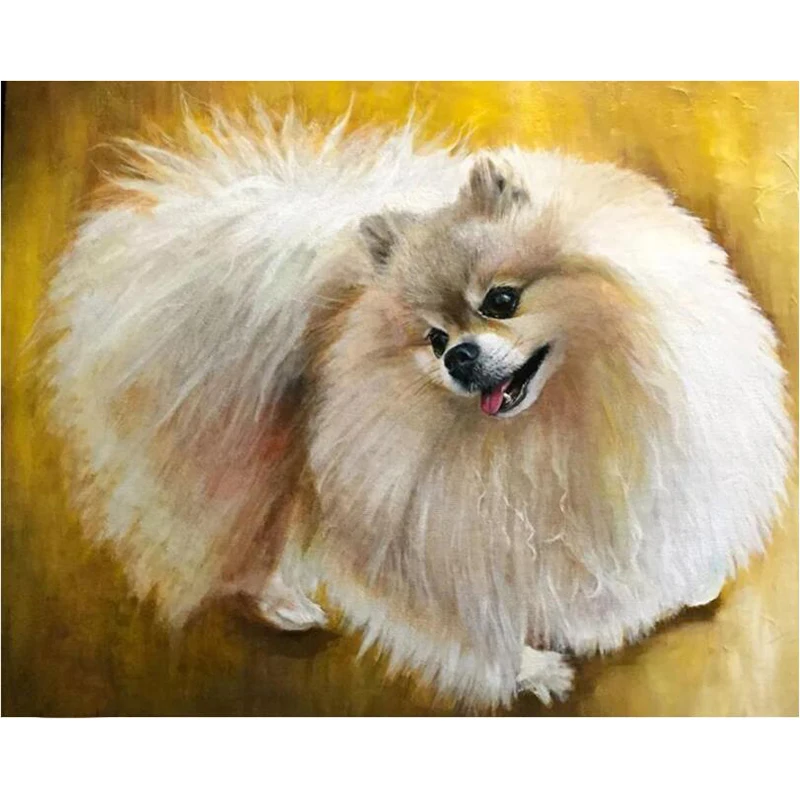 

5D Full Square Round DIY Diamond Painting Animal Dog Cross Stitch Embroidery Mosaic Home Wedding Decoration Birthday Gift