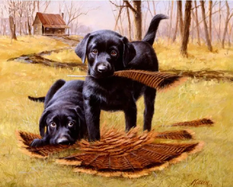 Diamond embroidery black dogs diy 5d diamonds painting cross stitch animal Square rhinestone Mosaic embroidered pattern stickers | Дом и сад