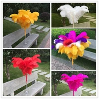wholesale 100pcs 45 50cm ostrich feathers natural dyed carnival decor feathers for crafts wedding diy decorations plume ostrich