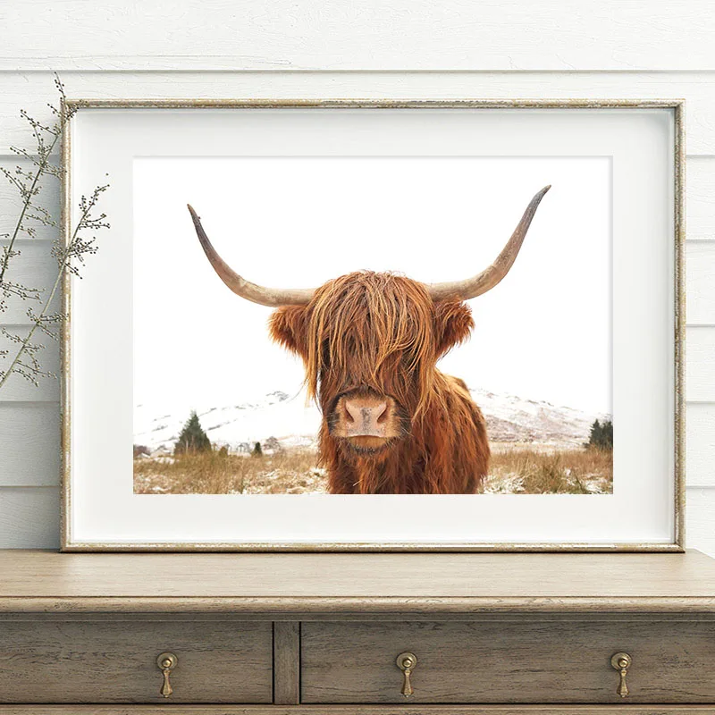Highland постер на холсте коровы и принт животных в скандинавском стиле живопись
