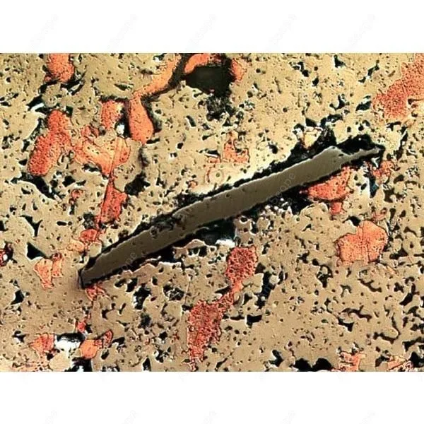 Металлургический микроскоп AmScope поставки 50X 500X поляризационный металлургический