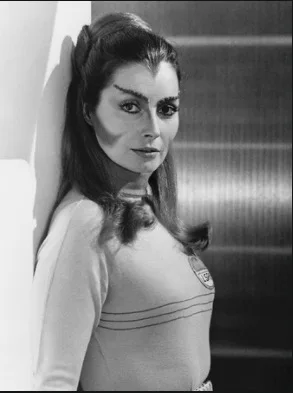 Barbara Bain пространство 1999 Sci-Fi ТВ показывает ретро Винтаж Классический плакат холст