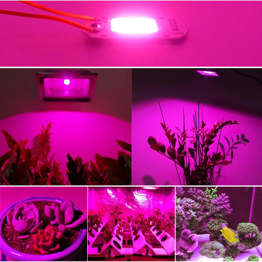 Светильник LED COB для роста растений полного спектра вход 220V AC 30W50W 100W внутреннее семечко и цветение.