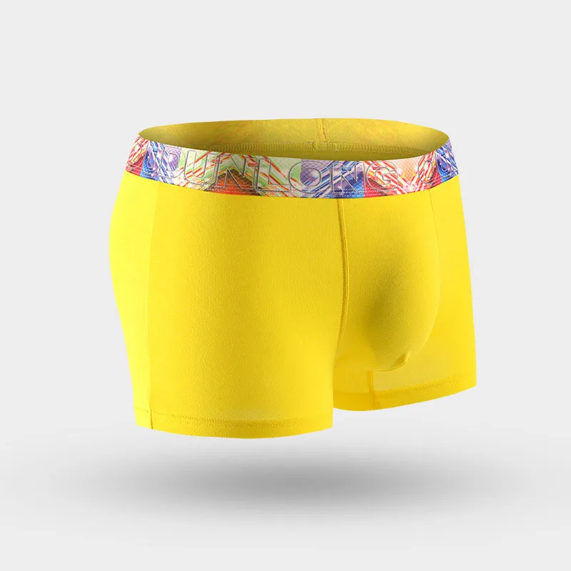 New Men Underwear Gift Box 4pca/lot Soft Breathable Modal Boxer Brand Designer Male Mens Underwear Boxers AU350 Wholesale