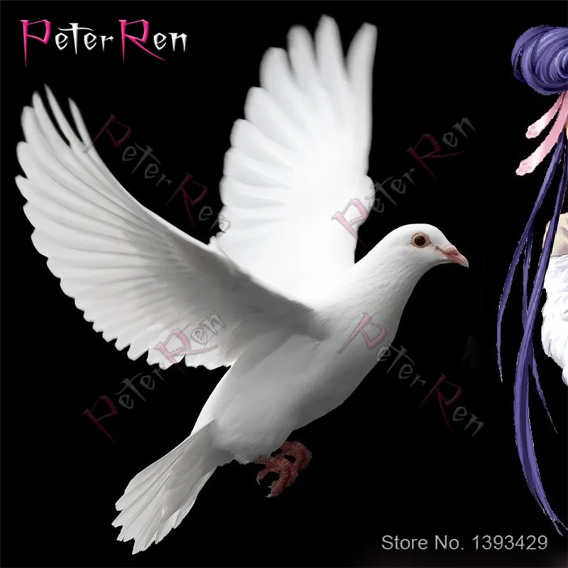 

Peter ren Diamond Mosaic painting Square\Round Diamond Embroidery Animal white pigeon Full of Trainings Home Decor peace pigeon