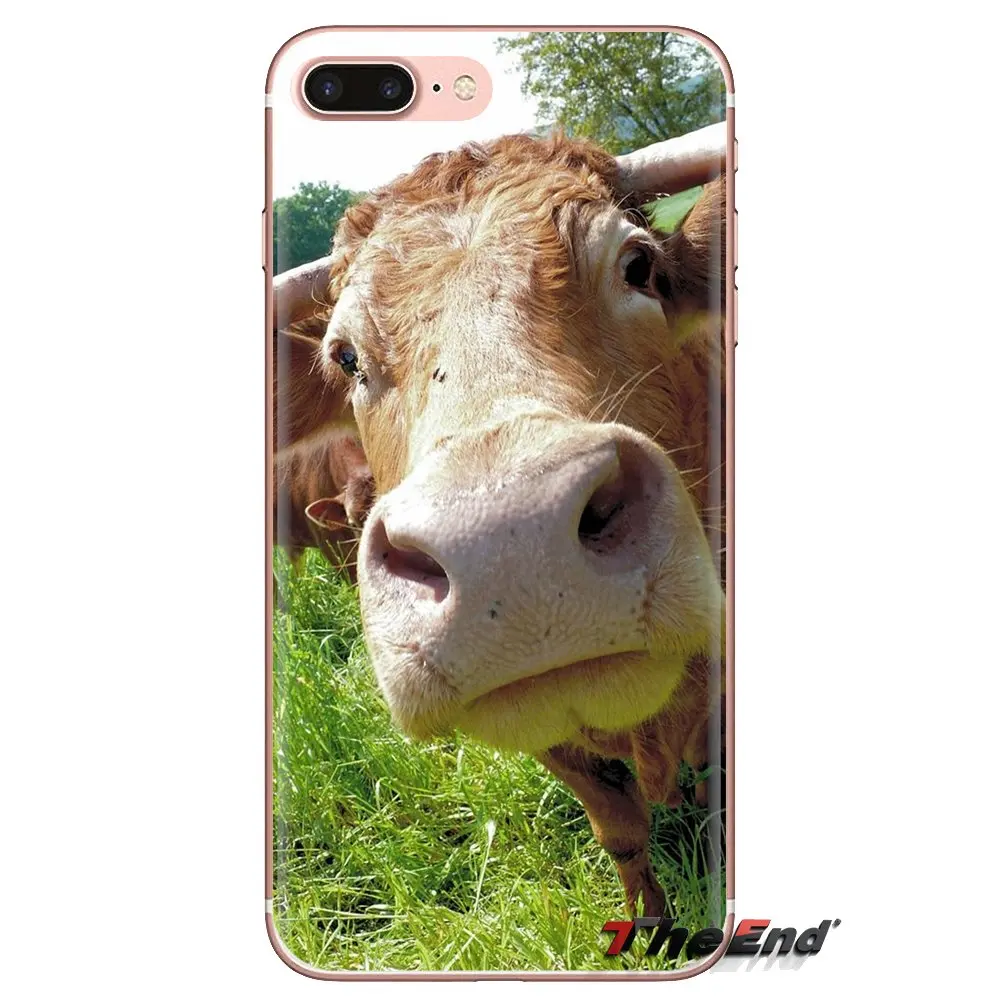 Cute Funny cow For Huawei Mate Honor 4C 5C 5X 6X 7 7A 7C 8 9 10 8C 8X 20 Lite Pro Soft Transparent Cases Covers |