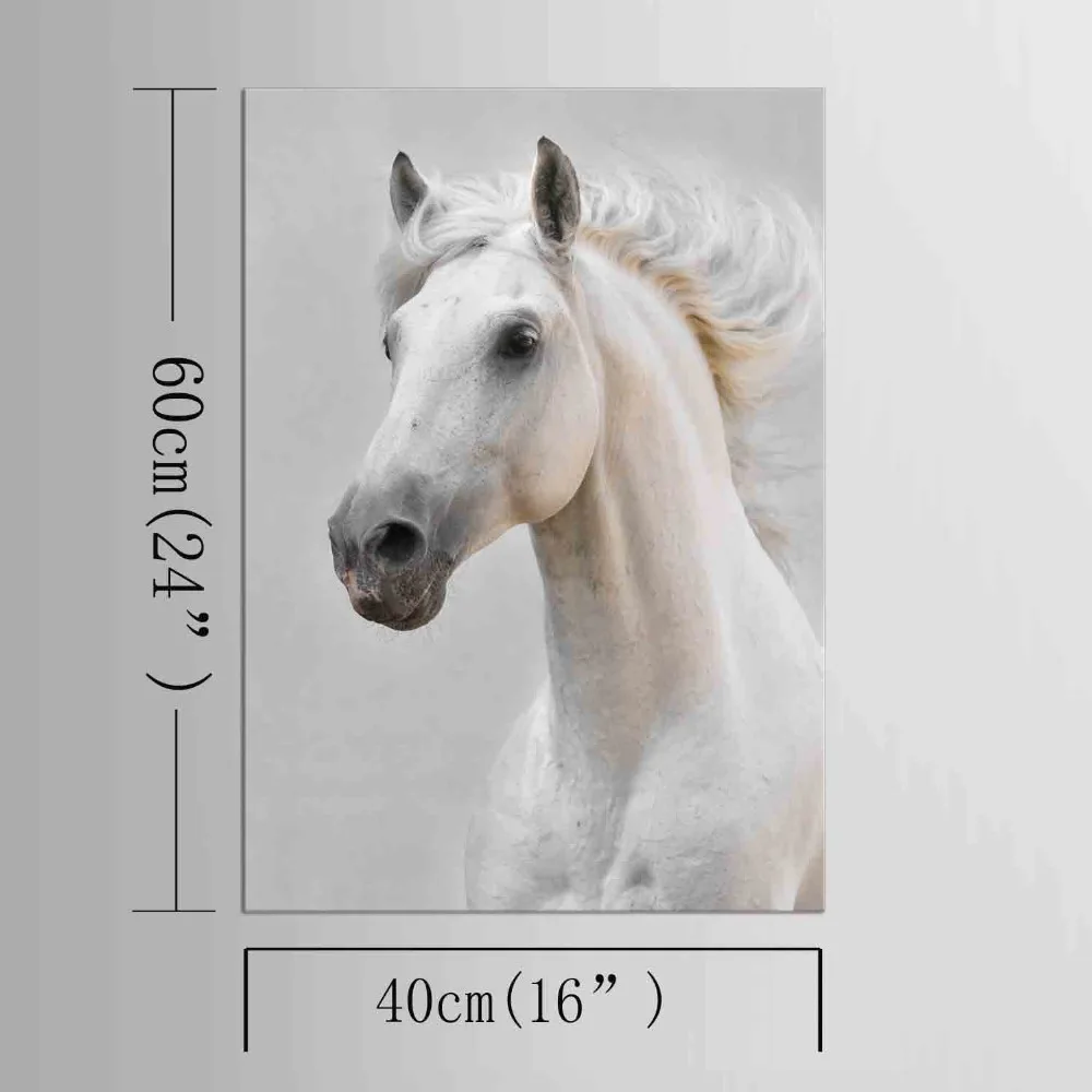 1 панель белая лошадь постер картина искусство для дома гостиной отеля Настенная