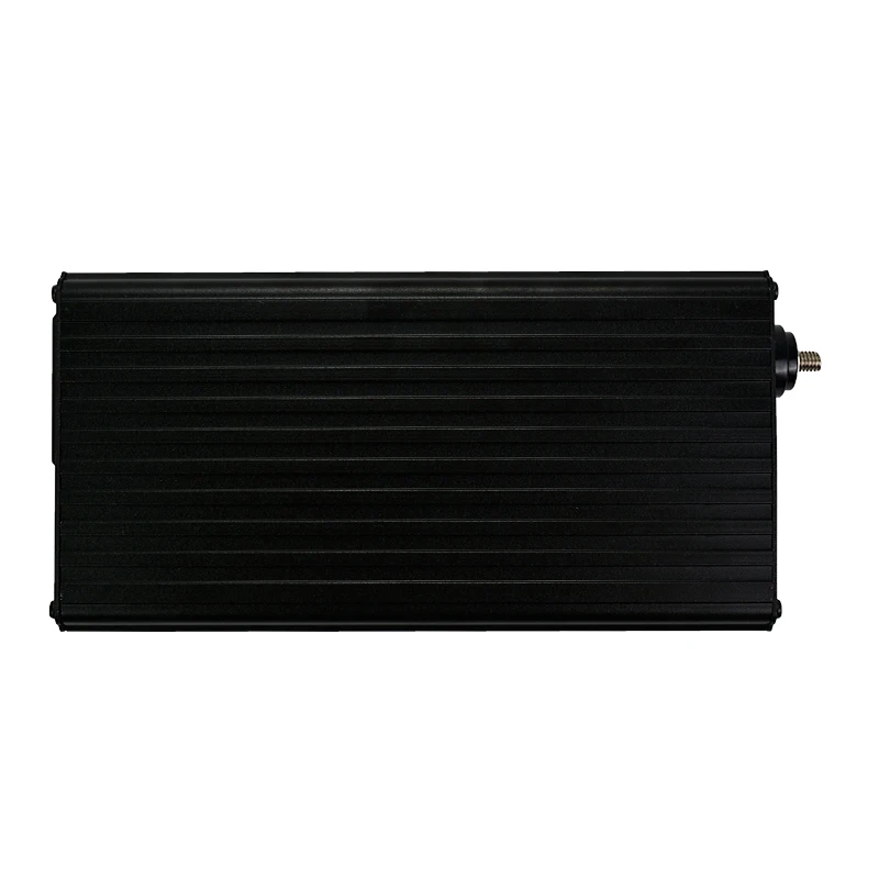 SUNYIMA 1000 Вт Чистая синусоида Инвертор DC12V/24 В к AC220V 50 Гц усилитель конвертера мощности для автомобиля Инвертор бытовой DIY