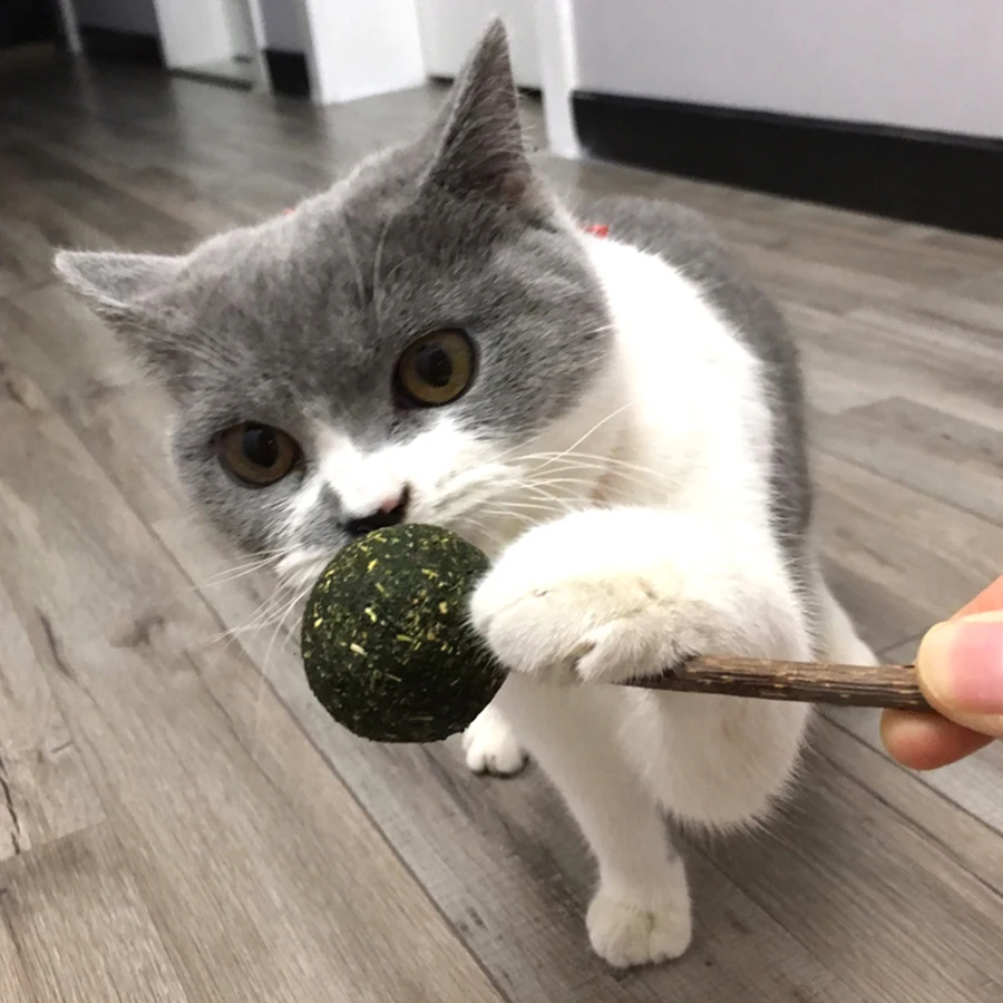 Палочка кошка игрушка для кота форма игрушки леденцов забавные интерактивные