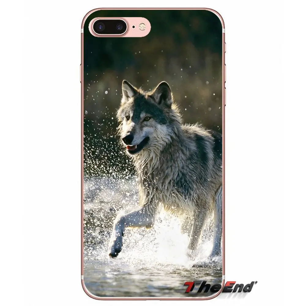 Аксессуары для телефонов с изображением волка iPhone X 4 4S 5 5S 5C SE 6 6S 7 8 Plus Samsung Galaxy J1 J3 J5