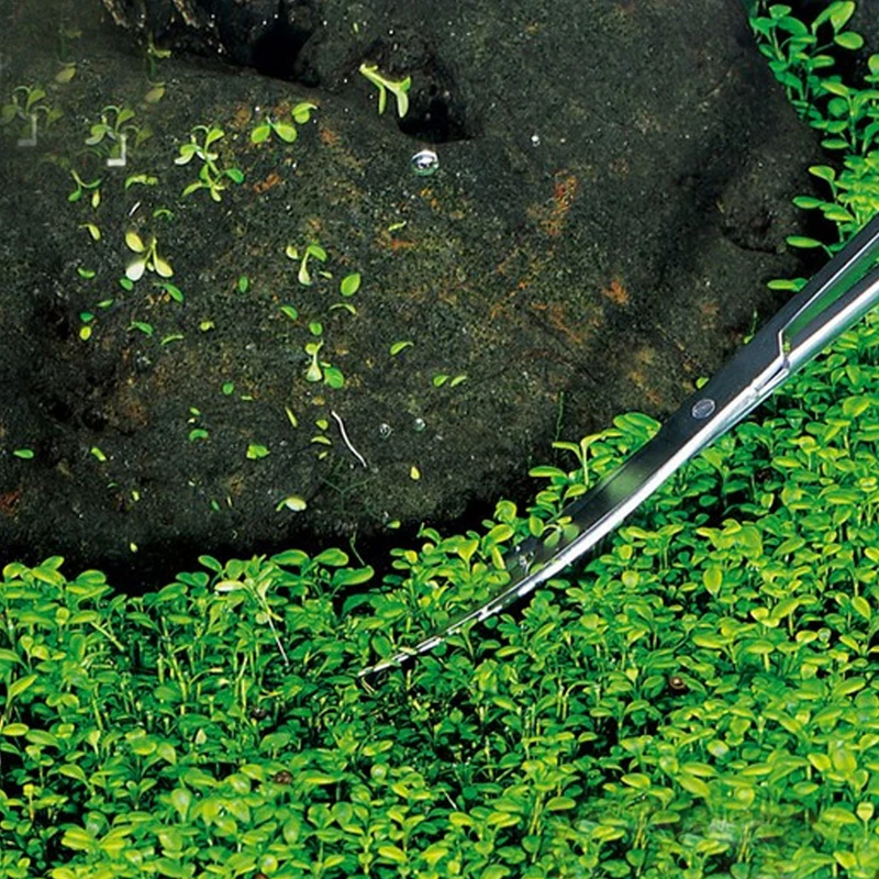 3 в 1 аквариумные живые растения пинцет для обслуживания ножницы Нивелир прямые