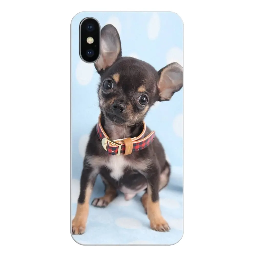 Чихуахуа собака щенок для Huawei P20 Lite Nova 2i 3i 3 GR3 Y6 Pro Y7 Y8 Y9 Prime 2018 2019 силиконовый чехол