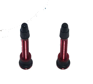 2pcs Valve 10 м бескамерные обода клейкие ленты Ширина 21/23/25/27/29/34 мм ниппели ценность для горного велосипеда, руль для шоссейного велосипеда, колеса велосипеда с дисковыми тормозами - Цвет: 2pcs Valve