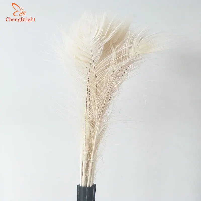 

ChengBright Wholesale 50pcs Beige Natural Peacock Feathers 70-80cm/28-32in Decorative Plume Peacock Feathers Eye Feather Crafts