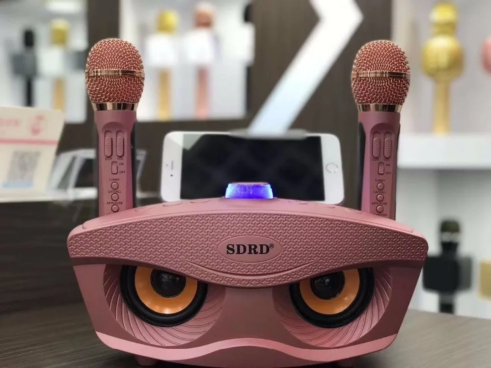SD306 двойной Bluetooth динамик с 2 беспроводными микрофонами Открытый Семейный KTV стерео микрофон большой звук 20 Вт SDRD Sd 306 набор динамиков