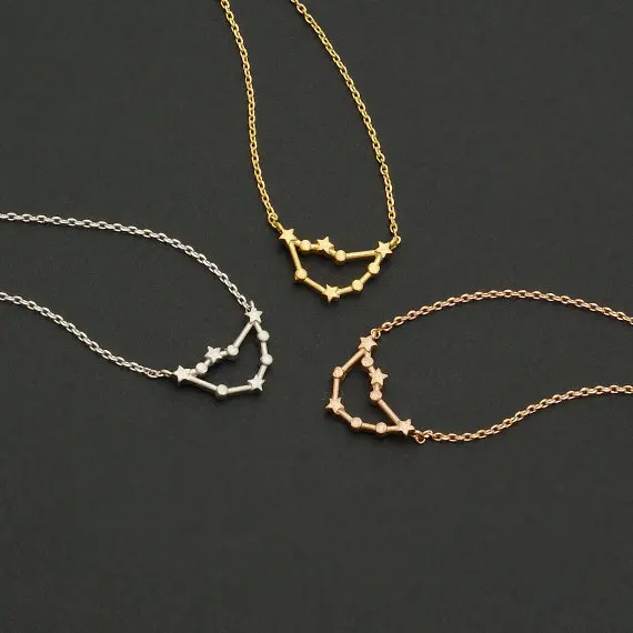 Ромашки Новый Козерог Знак зодиака кулон Созвездие Цепочки и ожерелья для