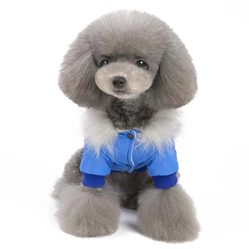 Warm Dog Clothes For Small Dog Windproof Winter Pet Dog Down Padded Clothes Puppy Outfit Yorkie Chihuahua Clothing Jacket&Coat