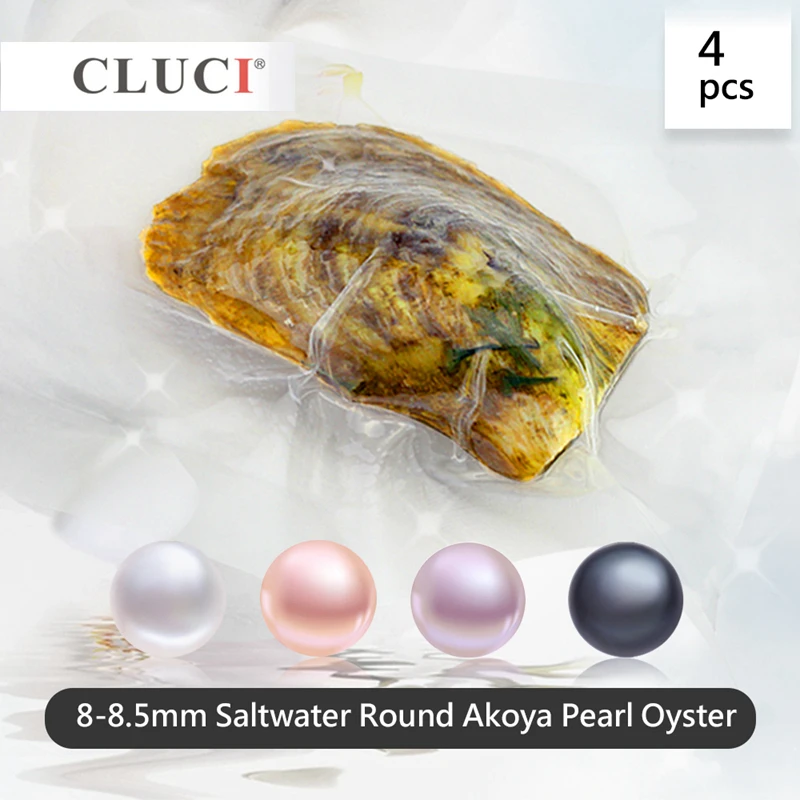 

CLUCI 4pcs 8-8.5mm Oysters With Akoya Pearls Round Single Packaged Genuine Akoya Pearl Colors Beads Round Akoya Pearls WP347SB
