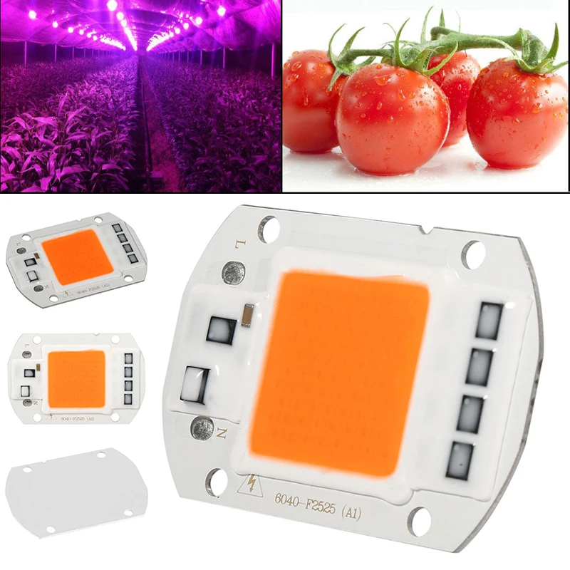 Full Spectrum COB LED Chip Plant Grow Light Lamp For Garden Hydroponic | Growing Lamps