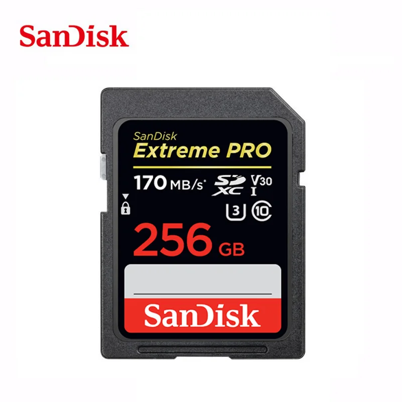 256GB 170MB SanDisk ультра оригинальная sd-карта 16 ГБ 32 ГБ SDHC 64 Гб 128 ГБ 256 ГБ SDXC класс 10 карта памяти C10 USH-I/USH-II Extreme Pro для камеры - Емкость: 256GB 170MB