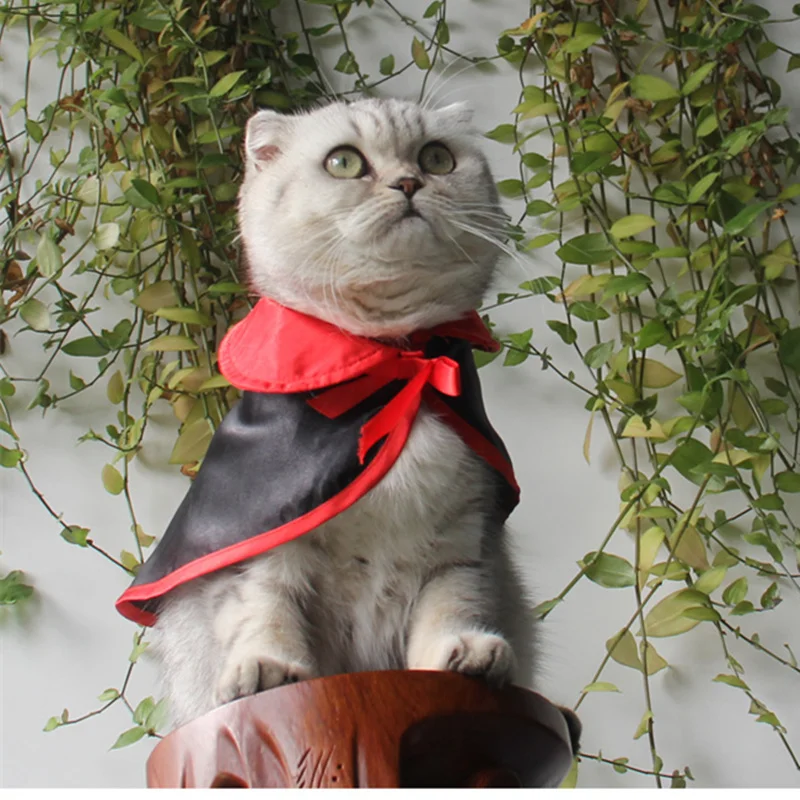 Новые рождественские костюмы для кошек на Хэллоуин волшебная накидка платье
