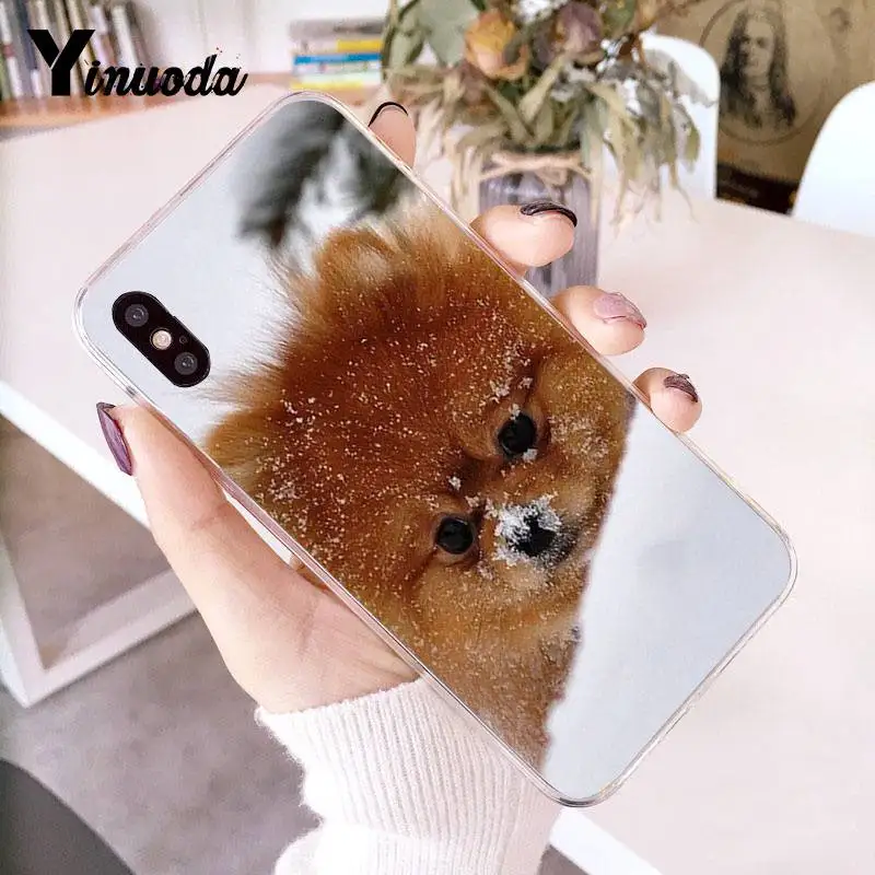 Yinuoda Pomeranian dogs Красочный милый чехол для телефона для iPhone 8 7 6 6S Plus X 10 5 5S SE XR XS XSMAX11 11pro 11promax