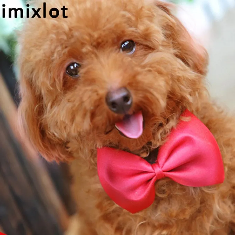 Imixlot Новая мода многоцветная полиэфирная симпатичная собака кошка щенок игрушка