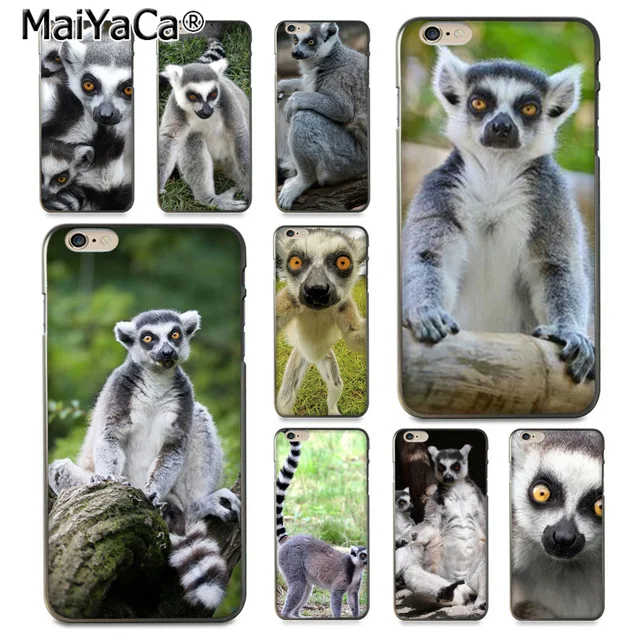 MaiYaCa Animal Lemur grabs для iPhone 4 SE 5C 5S 6S 7 8 Plus X XR XS MAX Samsung черный мягкий чехол телефона