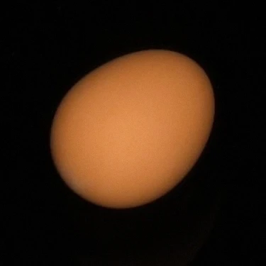 Резиновое желтое яйцо-волшебный трюк реквизит | Игрушки и хобби