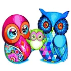 Набор для рисования по номерам на холсте сова, 40 х50 см