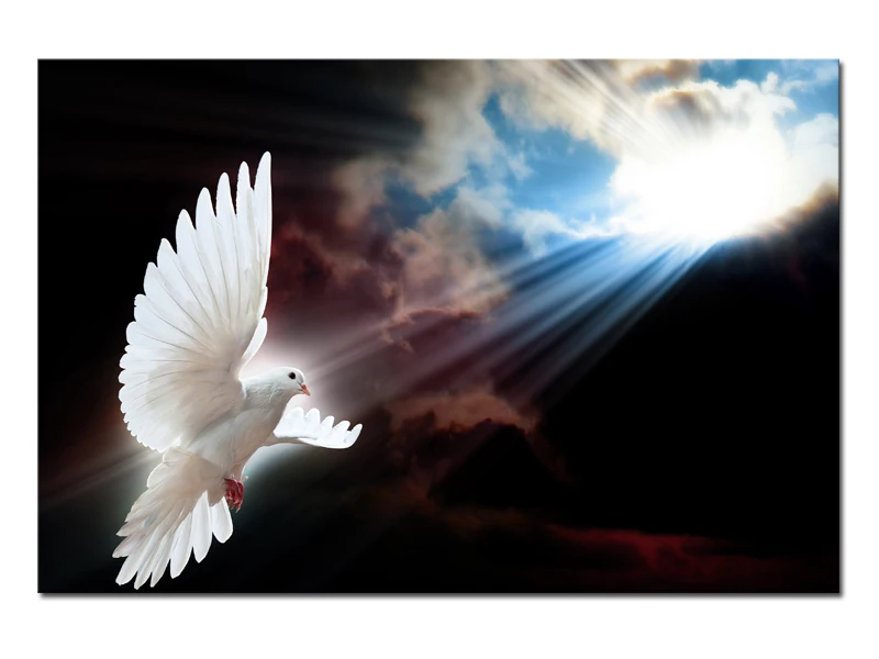 Лидер продаж 1 панель большой HD белый голубь декоративное солнце Художественная