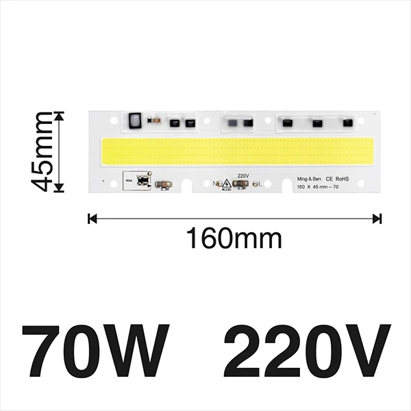 70W 220V 2 шт. светодиодный чип COB светодиодный светильник 30 Вт 50 Вт 70 Вт 100 Вт 150 Вт 220 В 110 В IP65 Smart IC подходит для DIY светодиодный прожектор холодный белый теплый белый - Испускаемый цвет: 70W 220V