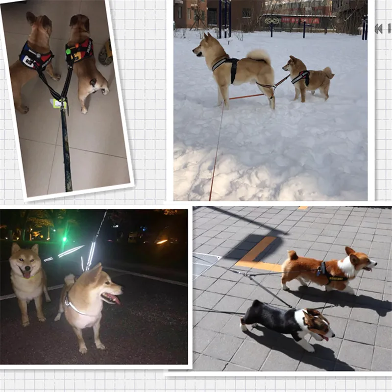 Реальная любовь двойная собака не спутывающаяся два размера для двух собак 3