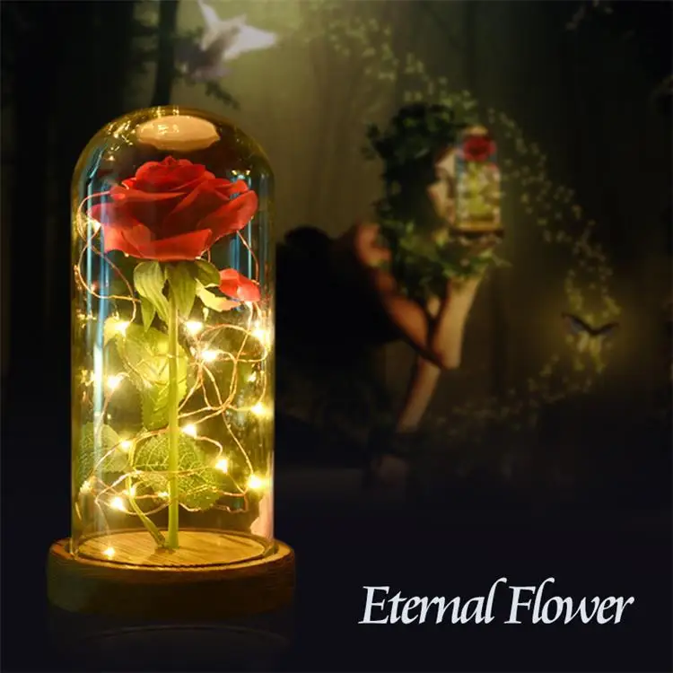Mother Day Gift LED Beauty and the Beast Red Rose w/ Fallen Petals in a Glass Dome on Wooden Base Christmas Valentine's Gifts |