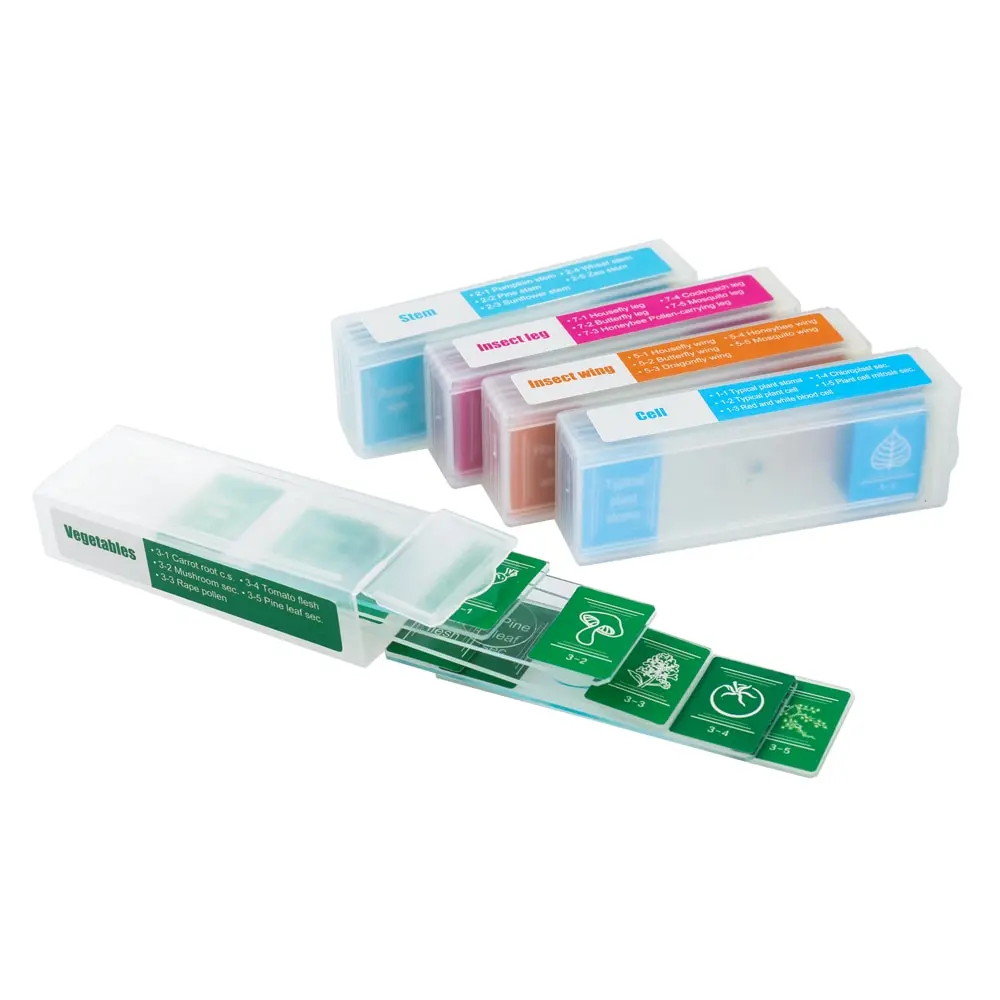 

35 Piece of Colorful Microscope Specimens Biological Specimen Slides Primary and Secondary Gifts + Plastic Cases + Box