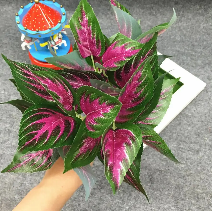 Ветка листьев периллы 5 шт. | Дом и сад