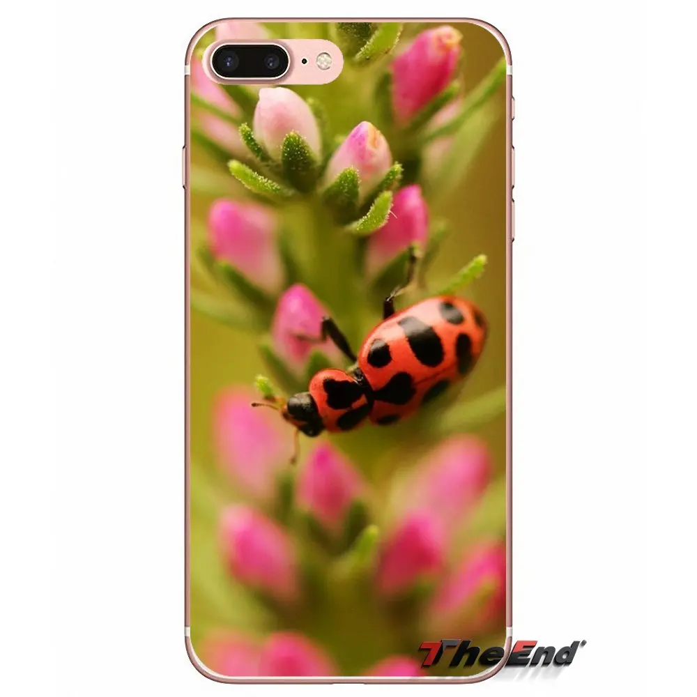 Для samsung Galaxy S2 S3 S4 S5 мини S6 S7 край S8 S9 плюс Примечание 2 3 4 5 8 coque Fundas макро насекомых