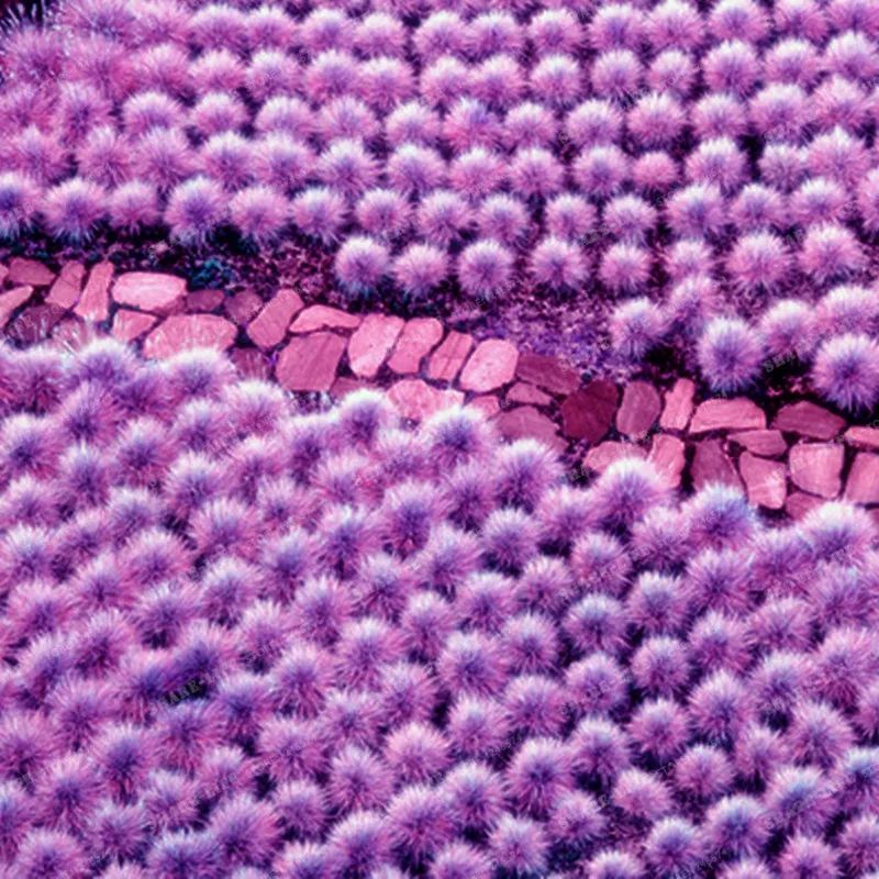 100 шт 4 цвета Фескью трава бонсай (Festuca glauca) многолетняя выносливая декоративная