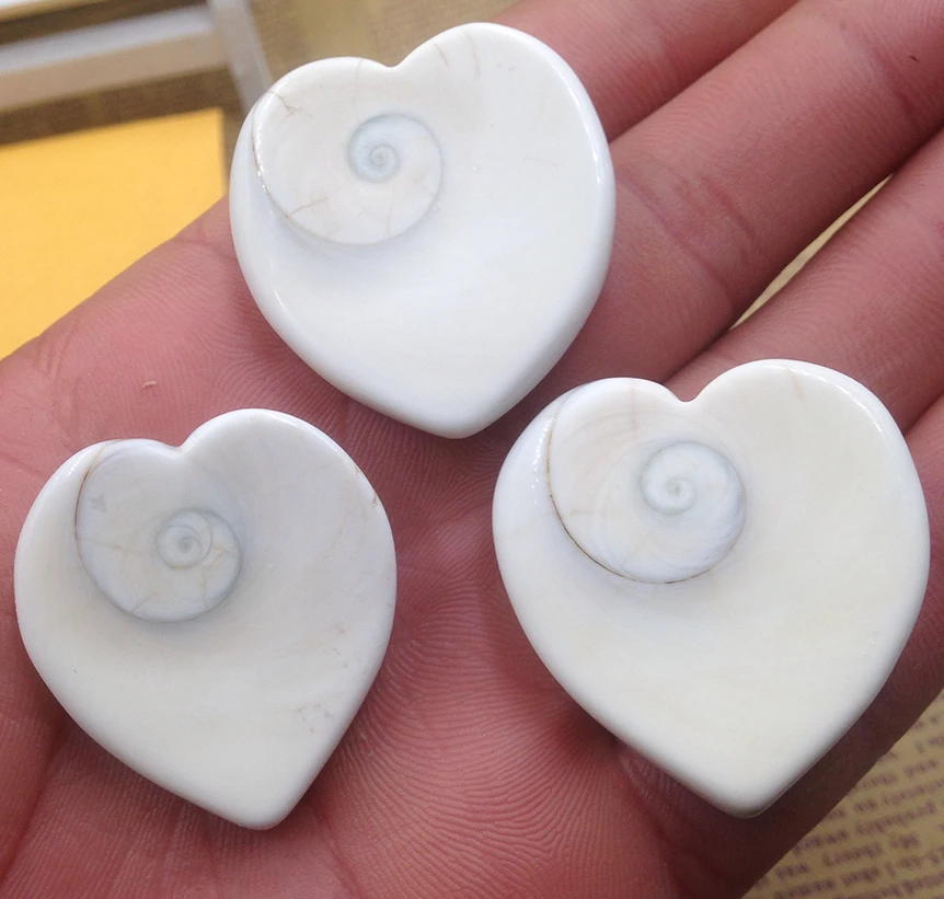 

3pcs Natural beautiful shells polished heart healing