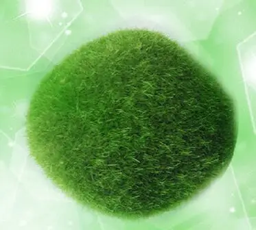 Модный хит 5 шт набор Сказочный Мини Сад пенопластовый камень мох для поделок