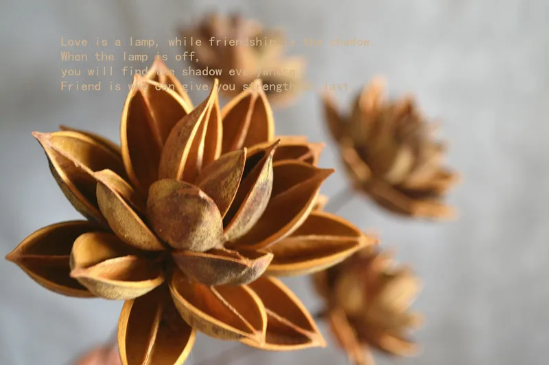 Искусственные цветы сухого лотоса искусственные букеты высушенных цветов