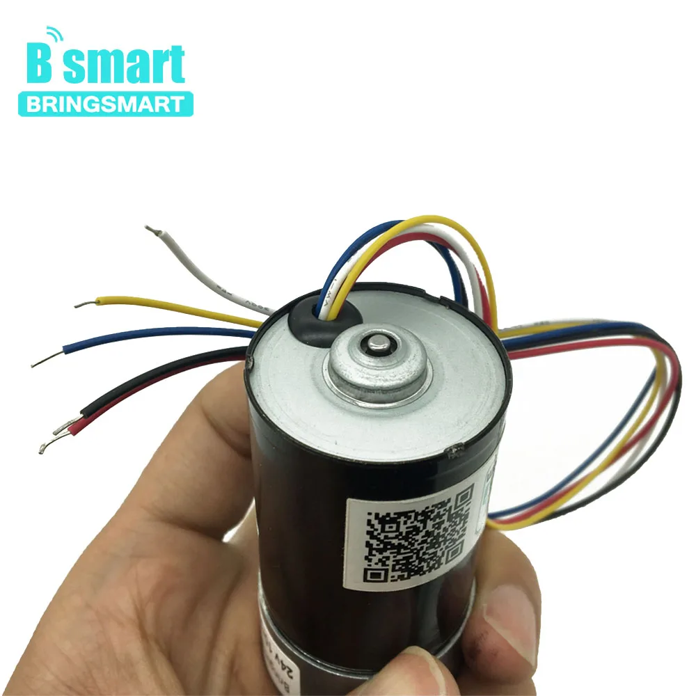 Bringsmart 12 24 В бесщеточный электродвигатель с редуктором постоянного тока редукция