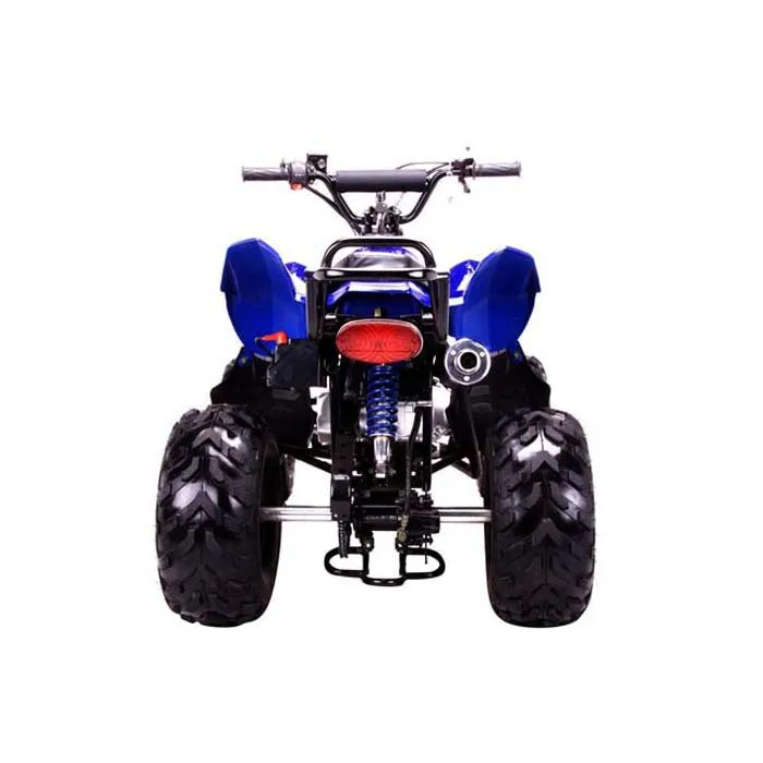 Задние фары ATV для детей 50 70 90 110 125 150 200 250cc Sunl ROKETA TAOTAO BAJA KAZUMA Atv Quad светильник ры