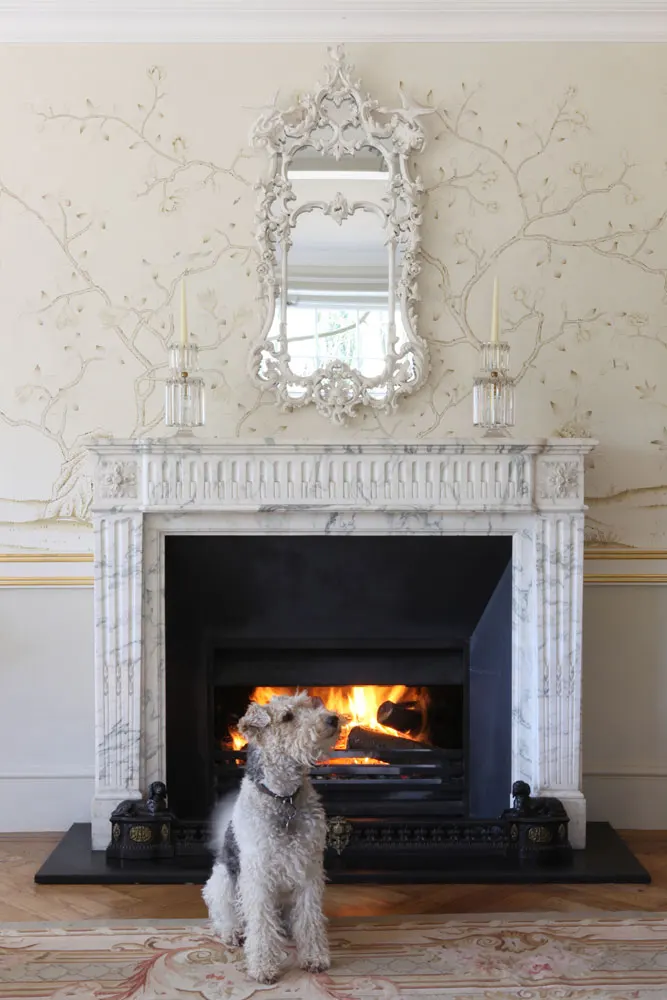 Классический стиль элегантные шелковые обои с ручной росписью цветы птицами