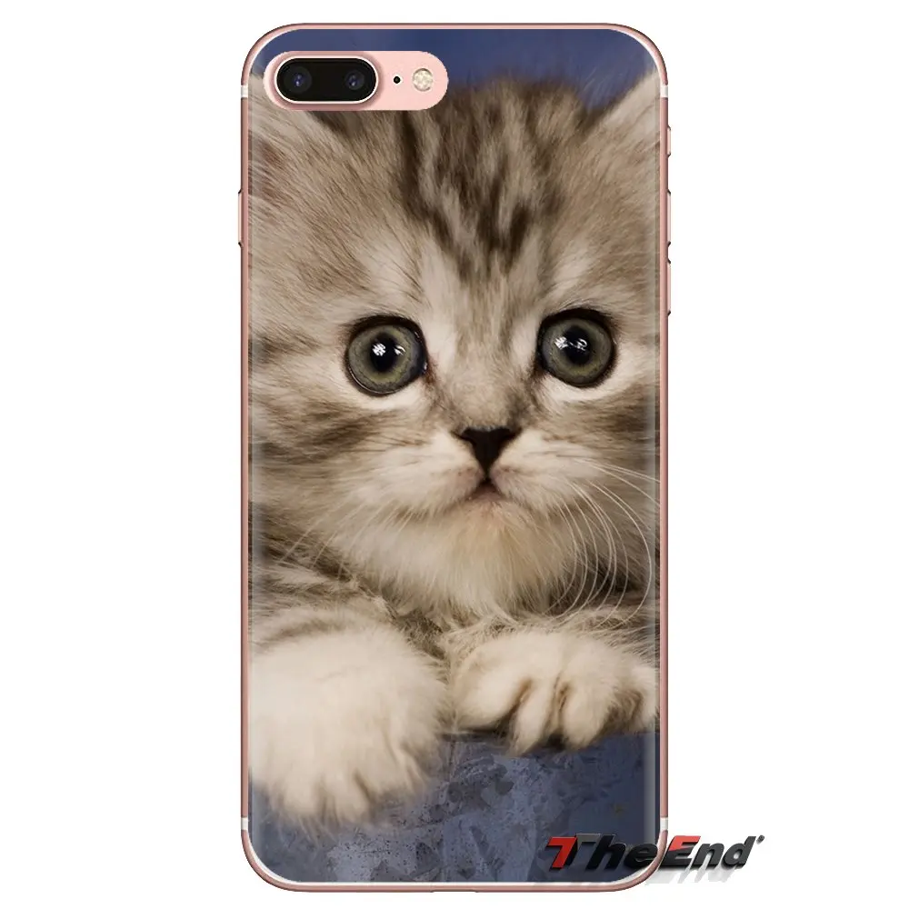 Transparent Soft Shell Covers For Xiaomi Redmi 4A S2 Note 3 3S 4 4X 5 Plus 6 7 6A Pro Pocophone F1 Adorable Cat |