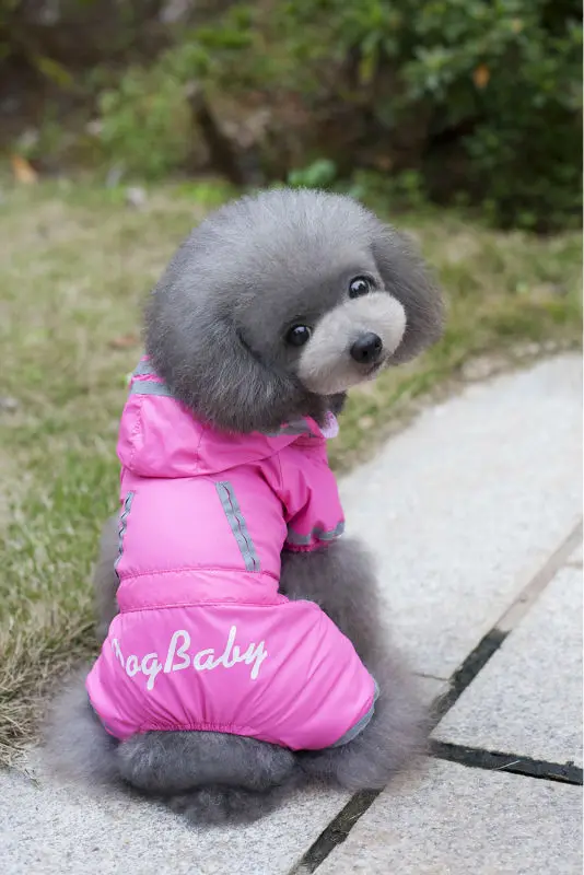 Новинка FA67 плащ для собаки одежда с милым щенком кошки водонепроницаемый